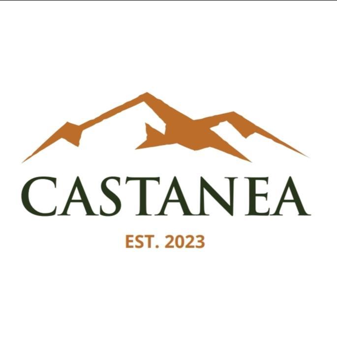 Holiday home Vikendica Castanea Banja Zdrelo